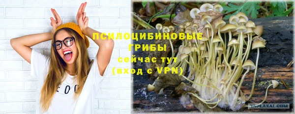 MESCALINE Яранск