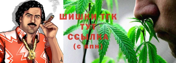 apvp Алзамай