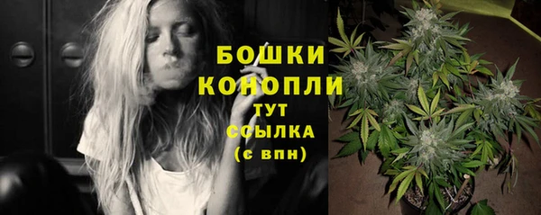 spice Янаул